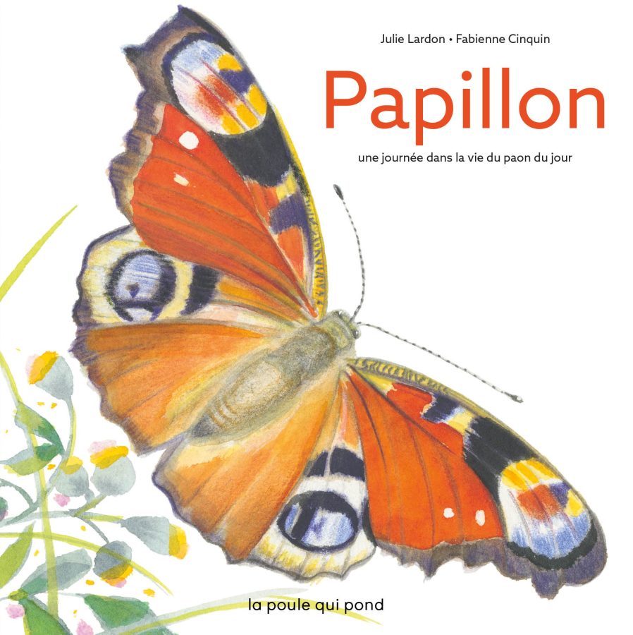 Papillon : une journée dans la vie d'un paon du jour